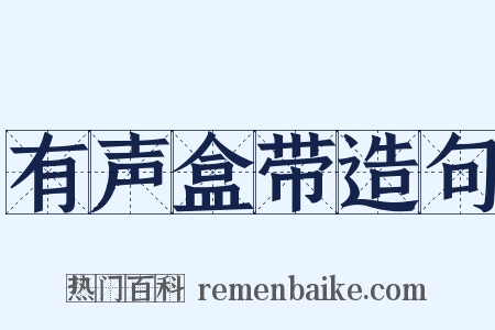 有声盒带造句是什么意思的图片